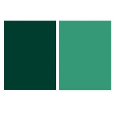 Темний Зелений + Світлий Зелений паперовий фотофон GALE для предметної зйомки (Двосторонній фон) 0.57×0.87 м