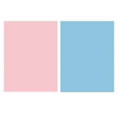 Розовый + Голубой бумажный фотофон GALE для предметной съемки (Двухсторонний фон 2 в 1) 0.57×0.87 м
